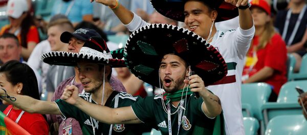 Meksika taraftarı - Sputnik Türkiye