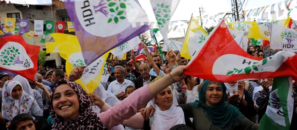 HDP bayrağı, seçmeni HDP bayrağı, seçmeni - Sputnik Türkiye