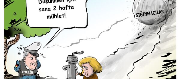 Karikatür - Sputnik Türkiye