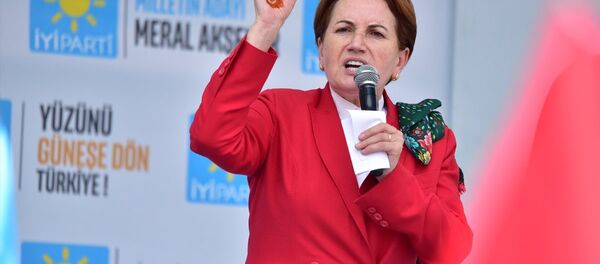 Meral Akşener - Sputnik Türkiye