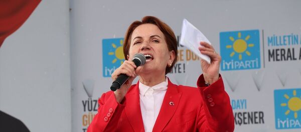 Meral Akşener - Sputnik Türkiye