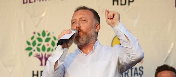 Sezai Temelli - Sputnik Türkiye