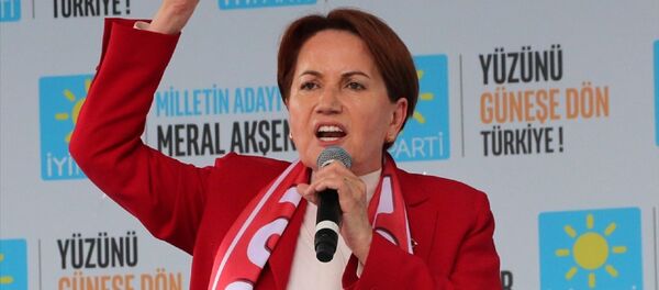 Meral Akşener - Sputnik Türkiye