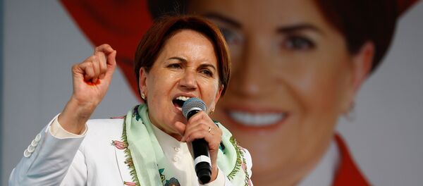 Meral Akşener - Sputnik Türkiye