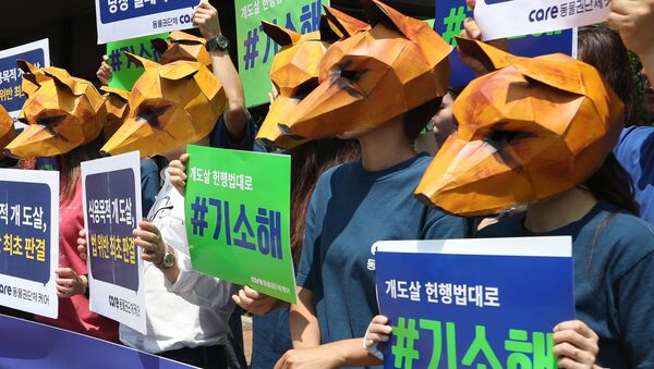 Köpeklerin eti için öldürülmesini Güney Kore'deki mahkeme binası önünde protesto eden hayvan hakları aktivistleri - Sputnik Türkiye