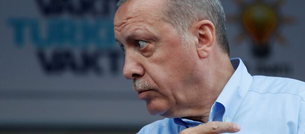Recep Tayyip Erdoğan - Sputnik Türkiye