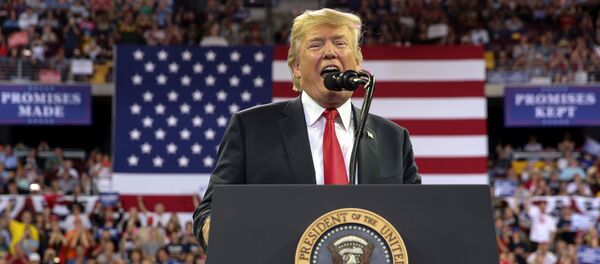 ABD Başkanı Donald Trump - Sputnik Türkiye