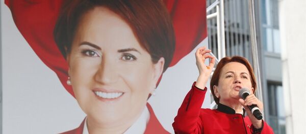 Meral Akşener - Sputnik Türkiye
