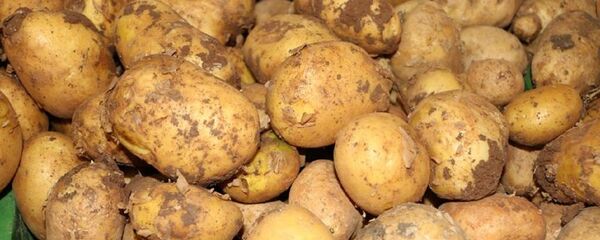 Patates - Sputnik Türkiye