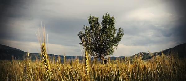 Saadet Ağacı, Ahlat Ağacı gönderme - Sputnik Türkiye