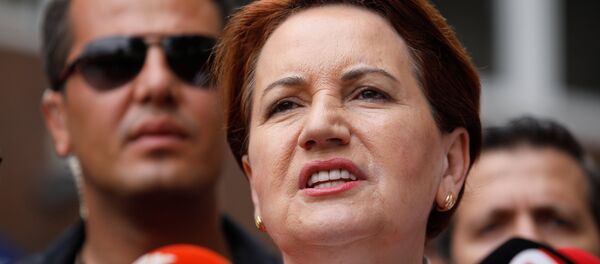 Meral Akşener - Sputnik Türkiye