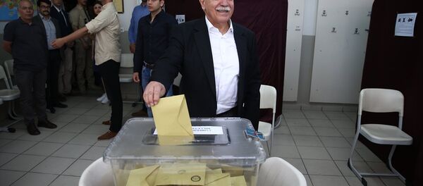 Doğu Perinçek - Sputnik Türkiye