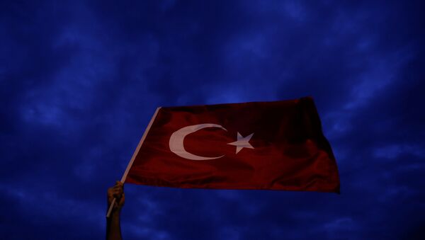 Türk bayrağı sallayan bir AK Parti seçmeni - Sputnik Türkiye