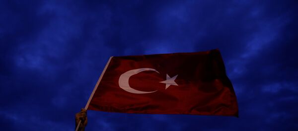 Türk bayrağı sallayan bir AK Parti seçmeni - Sputnik Türkiye