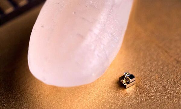 micro mote micro mote - Sputnik Türkiye