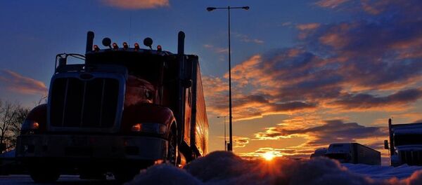 Şoför, TIR - Sputnik Türkiye