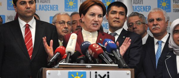 Meral Akşener - Sputnik Türkiye