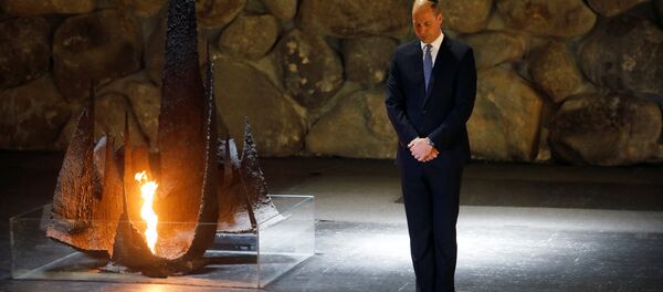 İngiltere Prensi William - Sputnik Türkiye