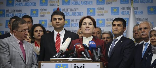 Meral Akşener - Sputnik Türkiye