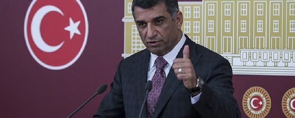 Gürsel Erol - Sputnik Türkiye