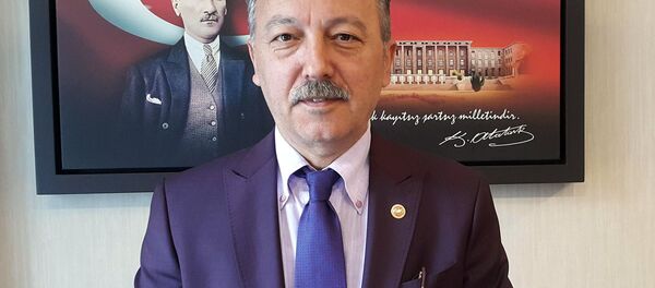 Tacettin Bayır - Sputnik Türkiye