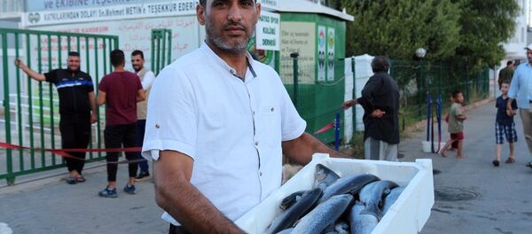 Hatay'ın Kırıkhan ilçesi ile Doğu Guta’dan kaçarak Suriye'nin Afrin kırsalında kurulan çadır kente sığınan ihtiyaç sahibi Suriyelilere 20 bin balık dağıtıldı. - Sputnik Türkiye