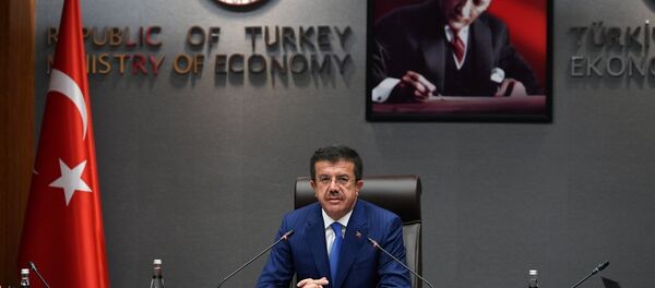 Ekonomi Bakanı Nihat Zeybekci Ekonomi Bakanı Nihat Zeybekci - Sputnik Türkiye