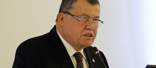 Yargıtay Başkanı İsmail Rüştü Cirit - Sputnik Türkiye