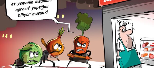 Karikatür - Sputnik Türkiye