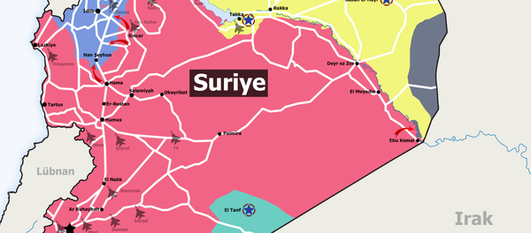 İnfografik - Sputnik Türkiye