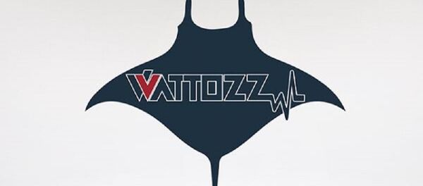 Yerli ve milli vatozlar için geri sayım başladı - Sputnik Türkiye