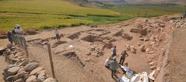Siirt'teki Başur Höyük kazı alanı - Sputnik Türkiye