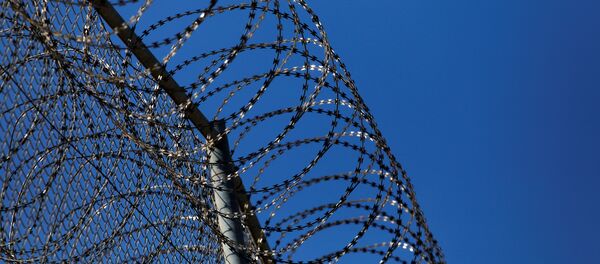 Dikenli tel - Sputnik Türkiye