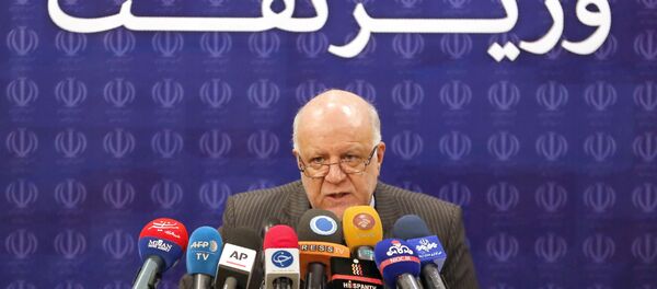 İran Ekonomi Bakanı Bijan Zanganeh - Sputnik Türkiye