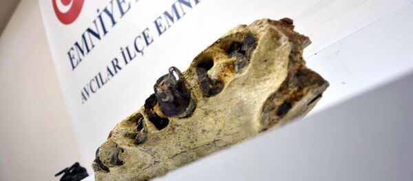 Evden 7 milyon yıllık dinozor çenesi çıktı - Sputnik Türkiye