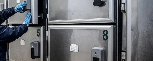 Morg Morg - Sputnik Türkiye