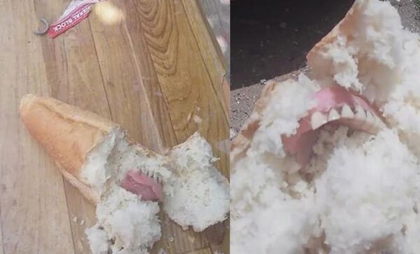 Muğla'da ekmeğin içinden çıkan diş protezi - Sputnik Türkiye