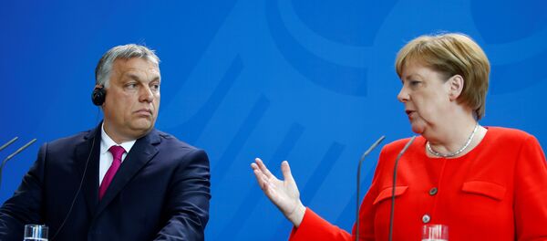 Berlin'deki ortak basın toplantısında Merkel-Orban gerilimi - Sputnik Türkiye