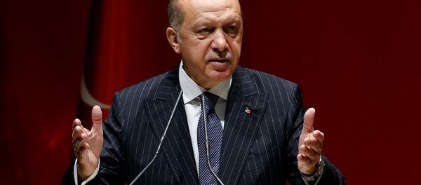 Cumhurbaşkanı Recep Tayyip Erdoğan - Sputnik Türkiye