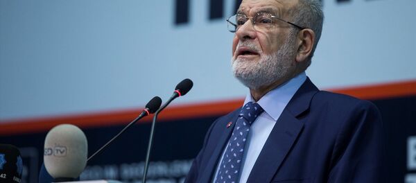 Temel Karamollaoğlu - Sputnik Türkiye