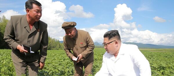 Kuzey Kore lideri Kim Jong-un, Samjiyon bölgesindeki Chunghung patates çiftliğini teftiş etti - Sputnik Türkiye