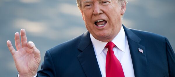 ABD Başkanı Donald Trump - Sputnik Türkiye