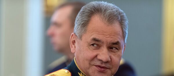 Rusya Savunma Bakanı Sergey Şoygu - Sputnik Türkiye