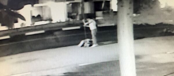 Bayrağı direğiyle birlikte çaldı - Sputnik Türkiye