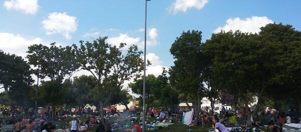 İstanbul, Suriyeliler, piknik - Sputnik Türkiye