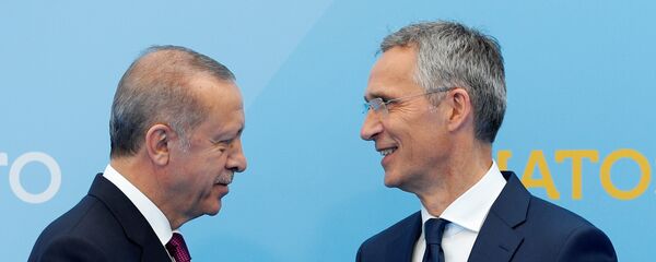 Cumhurbaşkanı Recep Tayyip Erdoğan- NATO Genel Sekreteri Jens Stoltenberg - Sputnik Türkiye