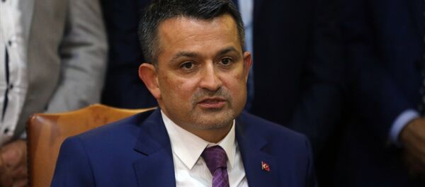 Tarım ve Orman Bakanı Bekir Pakdemirli - Sputnik Türkiye