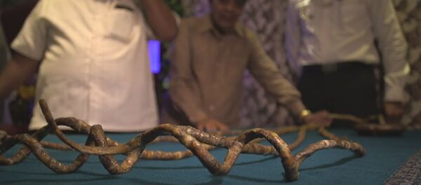 66 yıl uzattığı tırnaklarını sonunda kesti! 66 yıl uzattığı tırnaklarını sonunda kesti! - Sputnik Türkiye