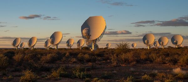 MeerKAT radyo teleskobu MeerKAT radyo teleskobu - Sputnik Türkiye