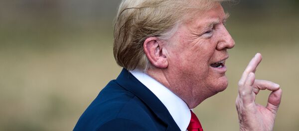 Donald Trump - Sputnik Türkiye